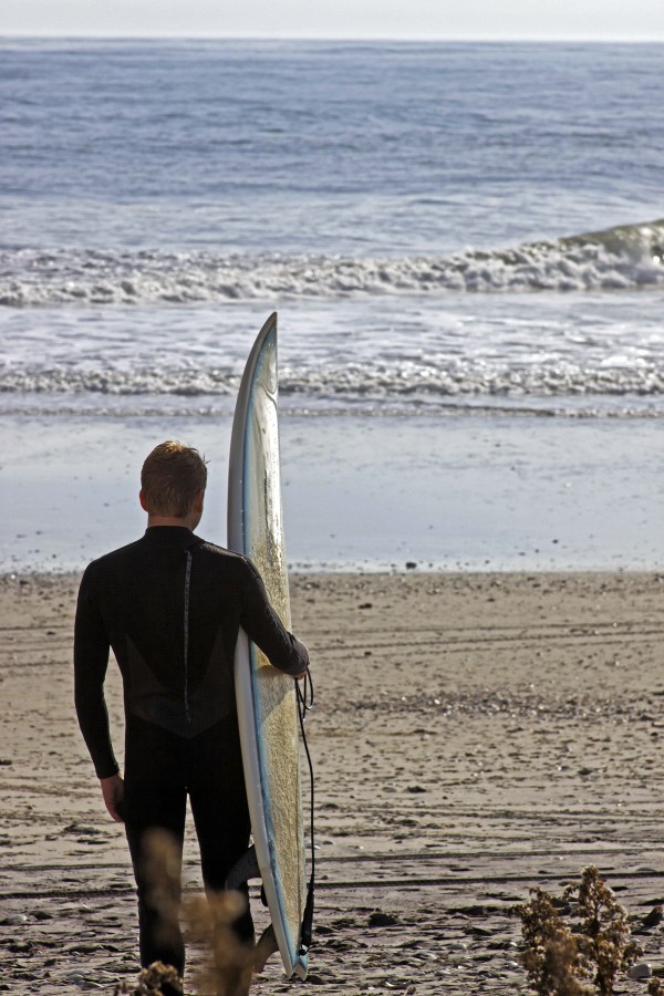 The Surfer